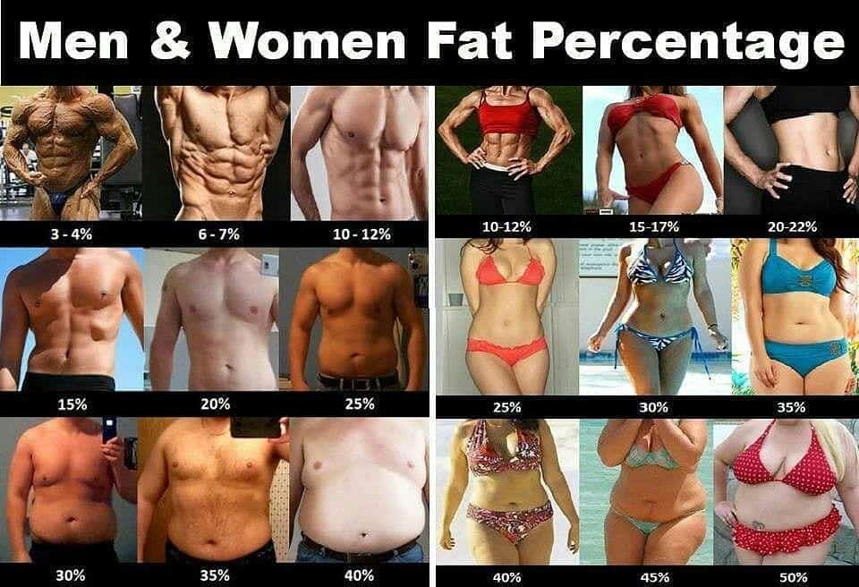 men and women fat percentage differences