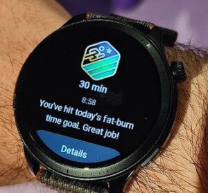 amazfit GTR4 fat burn zone reminder