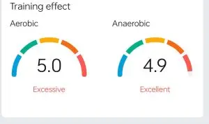 cardio effect of futsal